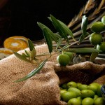 olives and oil