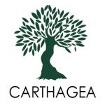Olivier CARTHAGEA
