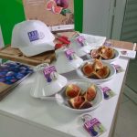 challenges-tn-FIGUES-DE-DJEBBA