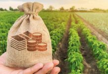 JORT : un nouvel arrêté assouplit la régularisation des projets industriels sur les terres agricoles