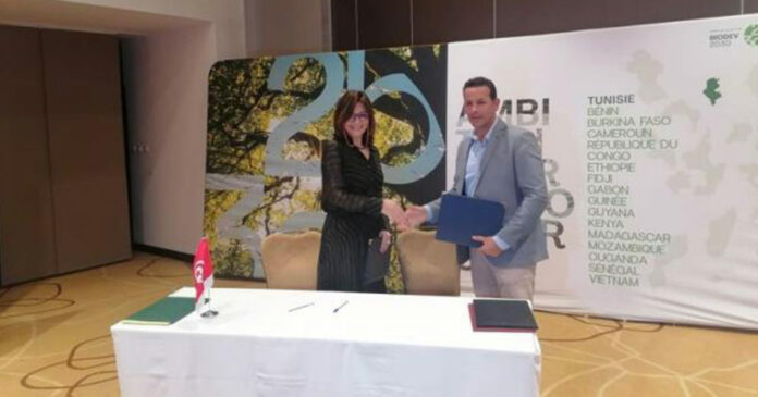 challenges-tn-Tunisie-Les-cimentiers--les-mineraliers-et-le-secteur-bancaire