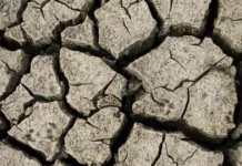 Tunisie : la menace écologique atteint un niveau critique