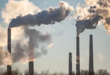 COP30 : 82 pays appellent à un plan mondial de sortie des combustibles fossiles