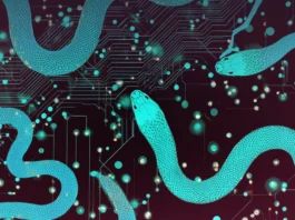 ESET : Le Groupe Iranien MuddyWater Intensifie ses Attaques – Israël et Égypte Ciblé par une Nouvelle Backdoor Inédite