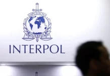 Fraude financière 2025 : Interpol alerte sur un record de 442 milliards $ perdus