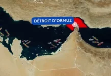 Engrais, énergie et géopolitique : comment la crise au Moyen-Orient fragilise l’agriculture et la sécurité alimentaire dans le monde arabe